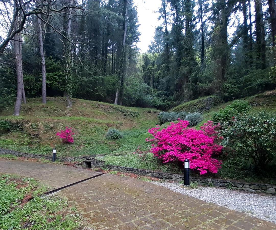 Il Bosco Di Campo Marzano Garden Apartments Borzonasca Екстериор снимка