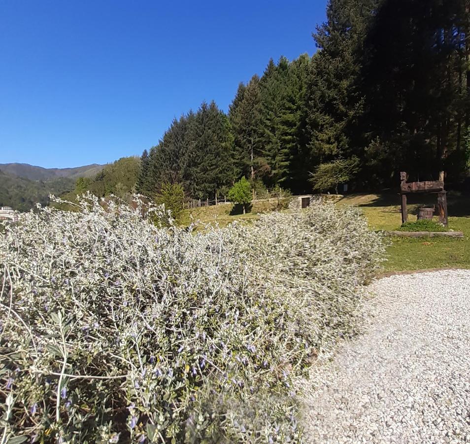 Il Bosco Di Campo Marzano Garden Apartments Borzonasca Екстериор снимка