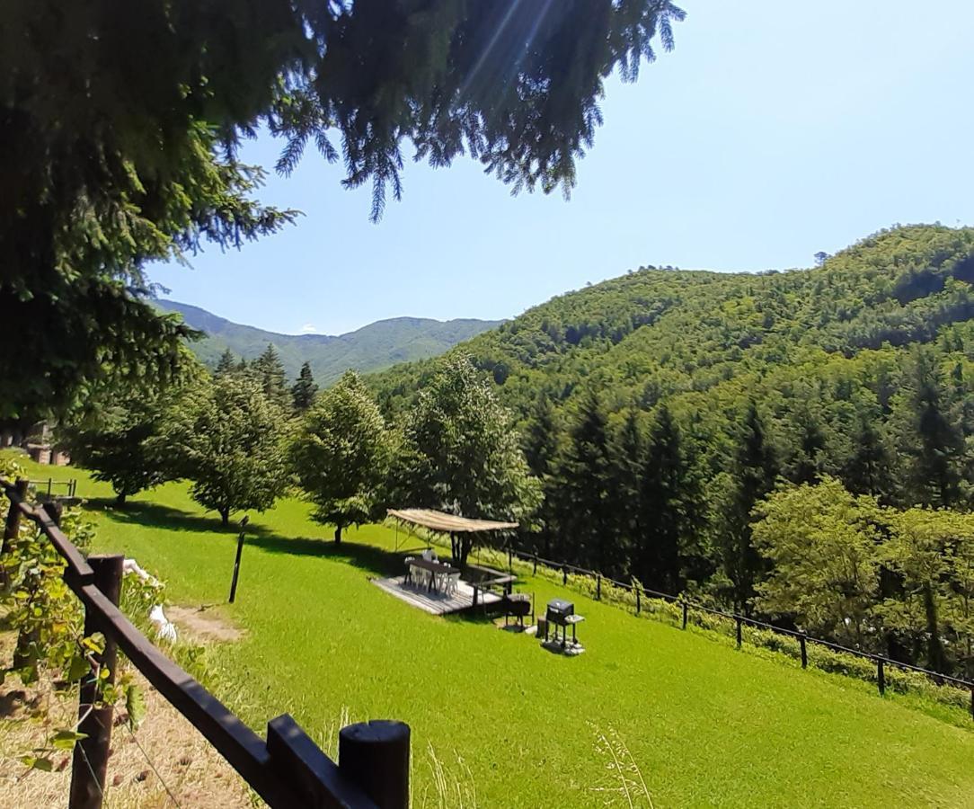 Il Bosco Di Campo Marzano Garden Apartments Borzonasca Екстериор снимка