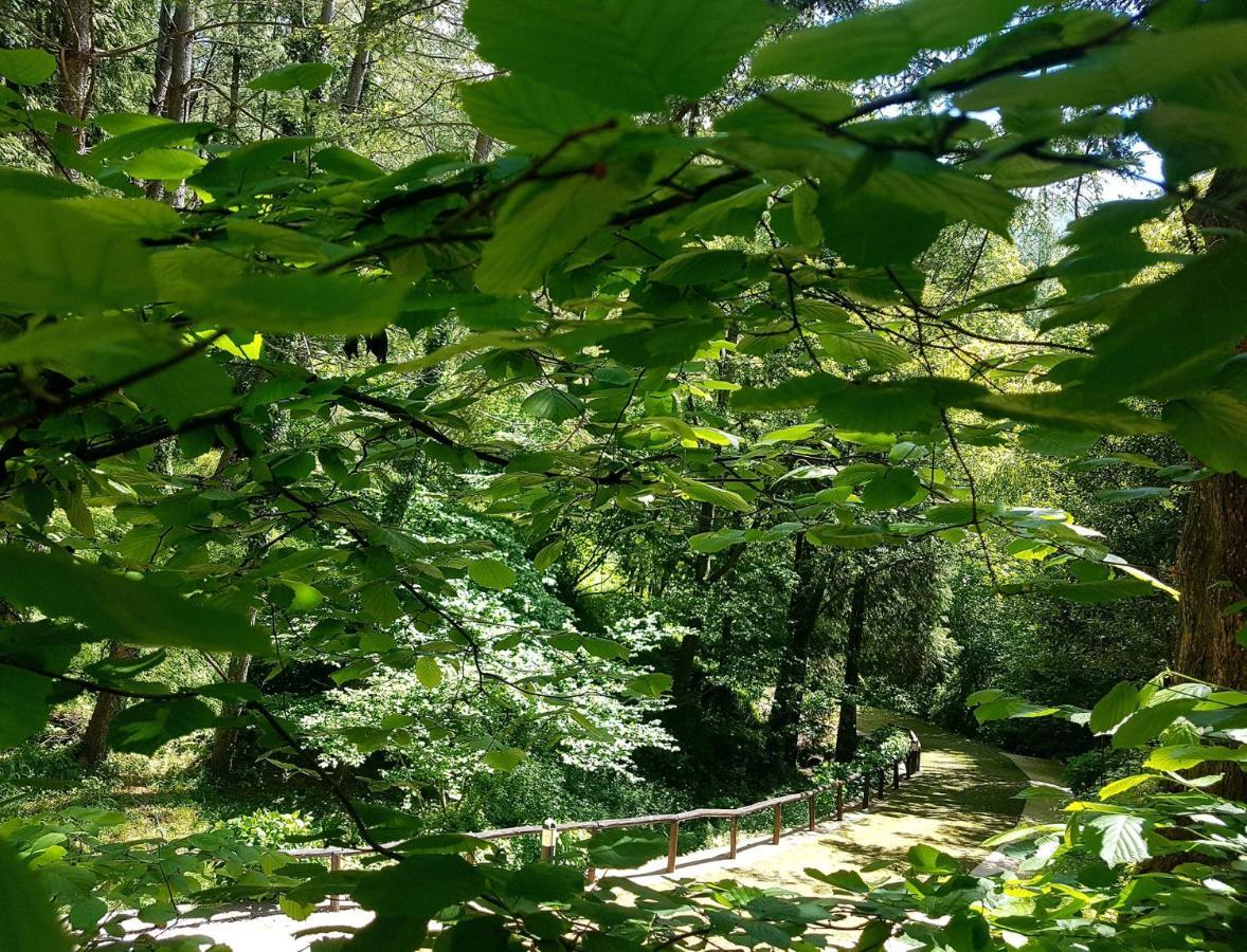 Il Bosco Di Campo Marzano Garden Apartments Borzonasca Екстериор снимка