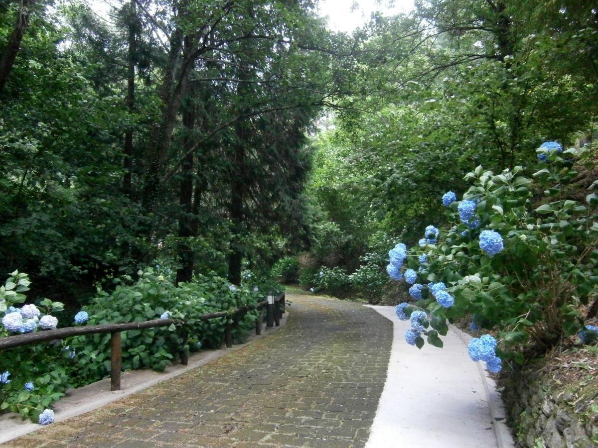 Il Bosco Di Campo Marzano Garden Apartments Borzonasca Екстериор снимка